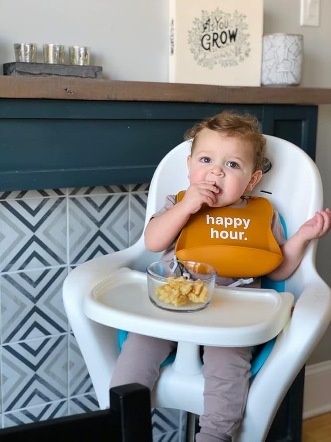 Denver James Silicone Feeding Bibs | Dishwasher Safe. Waterproof. Adjustable.