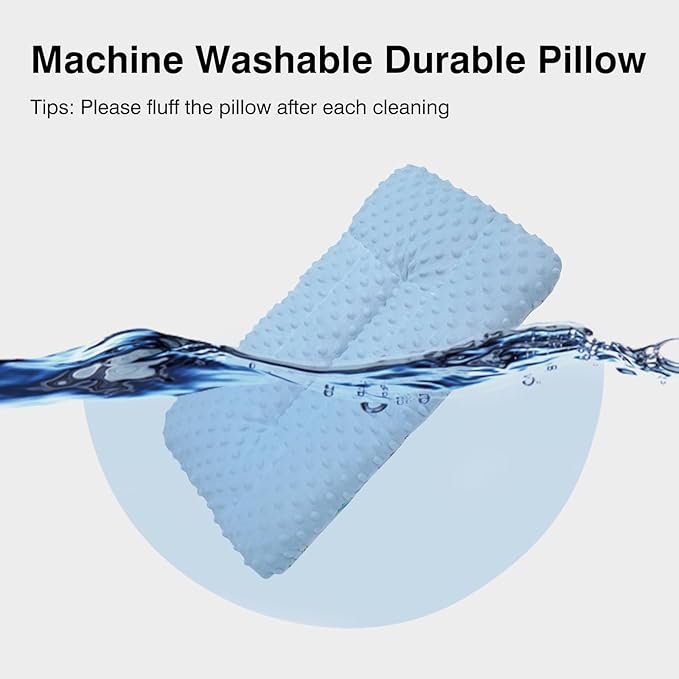 Reidio 1Pcs Toddler Pillow Double Sided Warm Plush & Minky Dot Fabric Kids Pillow Cute Small Pillow Machine Washable (#W-Ocean Blue)