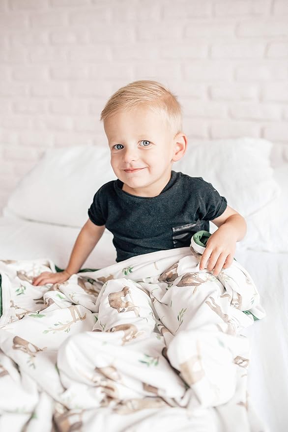 Copper Pearl Noah 3-in-1 Baby Quilt - Breathable, Cozy Blanket for Newborns & Toddlers | 46x46 Premium Polyester/Rayon