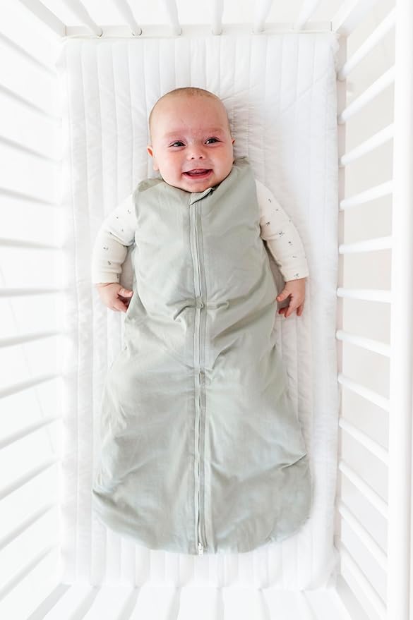 Ely's & Co. Winter Sleep Sack, Wearable Blanket with Soft Quilting, Transitional Swaddle for Baby Boy/Girl, 1.0 TOG