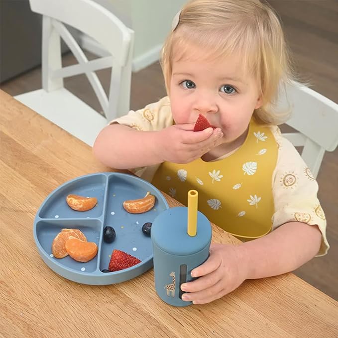 Baby Silicone Bibs 2 Sets Baby Bibs with Food Catcher for Girls Boys Toddlers BPA Free Waterproof Soft Durable