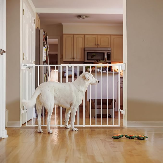 Babelio 31.5-55" No Bottom Bar Baby Gate Extra Wide, 2-in-1 Auto Close Dog Gate for The House, Stairs and Doorways, with Large Walk Thru Door, White