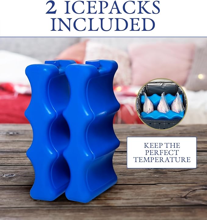 Insulated Breast Milk Cooler Bag – Fits 6 Bottles -Inclueds 2 Ice Packs – Dual Zipper Compartments - Detachable Strap - 9.4"x6.7"x10.6" – Blue Geometric Design - Portable & Durable