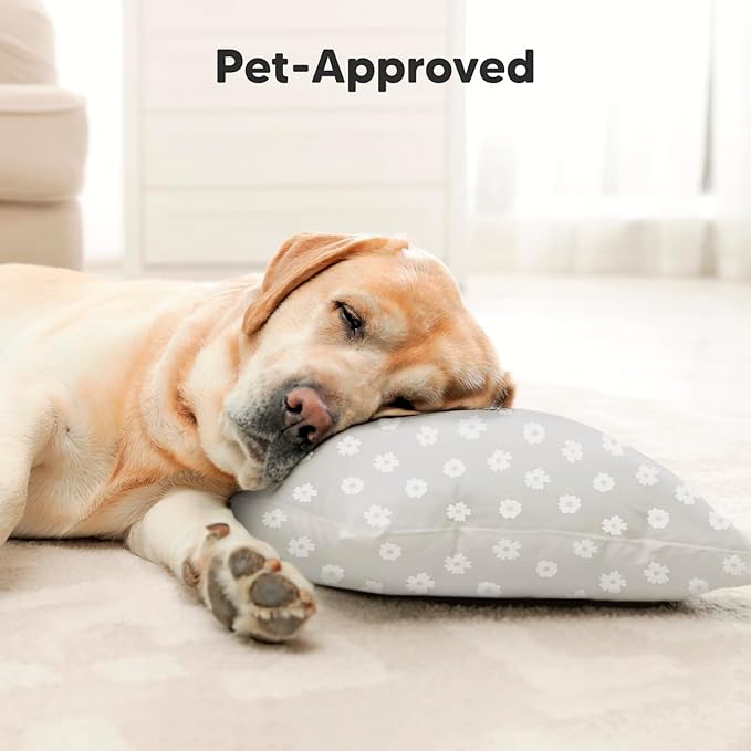 Toddler Pillow with Pillowcase - 13x18 My Little Dreamy Kids Travel Bed Pillows for Sleeping, Organic Cotton Small Pillowcase, Soft & Breathable, Machine Washable, Toddlers 2-5 Years Old (Meadow)