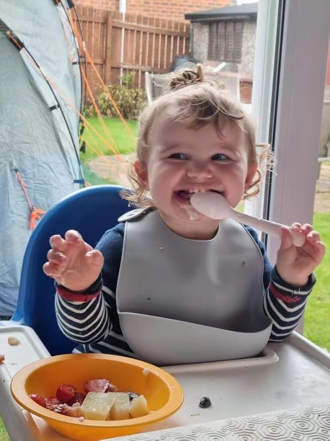 PandaEar 3 Pack Waterproof Silicone Baby Bibs| Super Thin Light Weight Feeding Bib with Food Catcher Pocket for Toddler