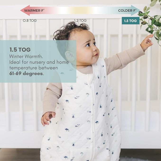 Tealbee Dreamsuit Toddler Sleep Sack with Feet – Walker Sleep Bag with Legs, Rayon made from Bamboo, Winter 1.5 TOG, 2-Way Zipper, 3T-4T - Mushroom