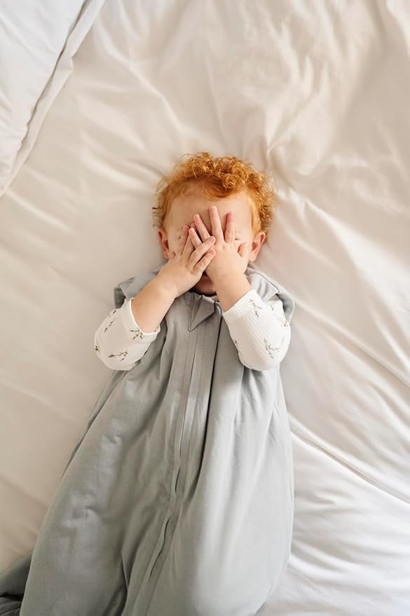 Ely's & Co. Winter Sleep Sack, Wearable Blanket with Soft Quilting, Transitional Swaddle for Baby Boy/Girl, 1.0 TOG