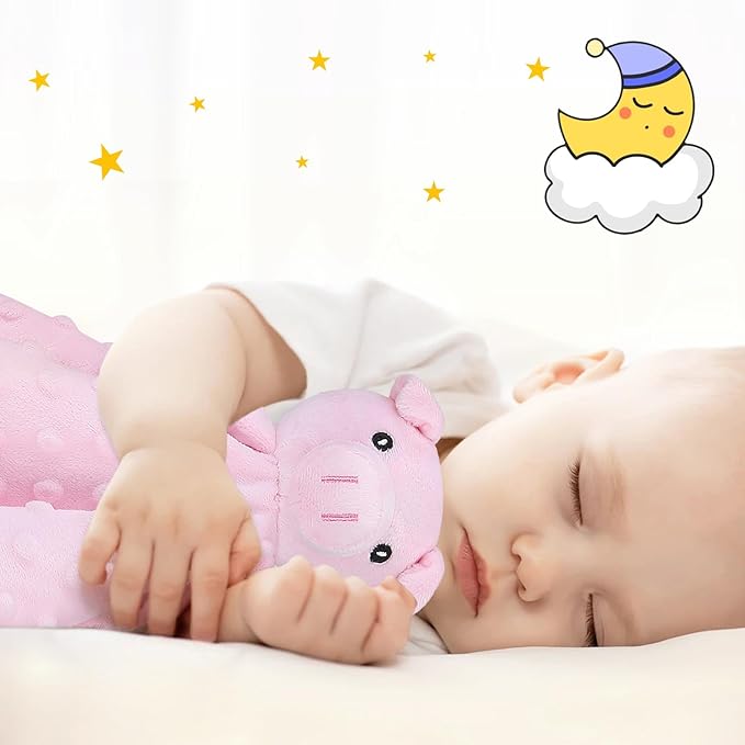 Pro Goleem Pig Loveys for Babies, Soft Security Blanket Baby Snuggle Toy Newborn Stuffed Animals Baby Gifts for Boys and Girls, 16 Inch