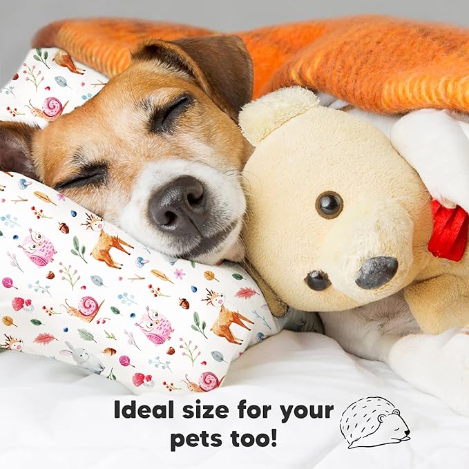 Toddler Pillow with Pillowcase - 13x18 My Little Dreamy Kids Travel Bed Pillows for Sleeping, Organic Cotton Small Pillowcase, Soft & Breathable, Machine Washable, Toddlers 2-5 Years Old (Forestland)