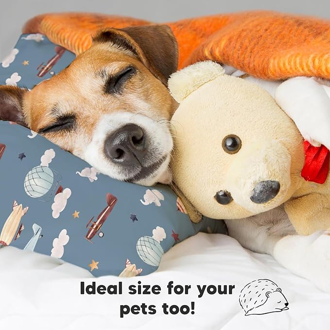 Toddler Pillow with Pillowcase - 13x18 My Little Dreamy Kids Travel Bed Pillows for Sleeping, Organic Cotton Small Pillowcase, Soft & Breathable, Machine Washable, Toddlers 2-5 Years Old (Up & Away)