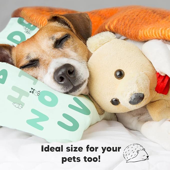 Toddler Pillow with Pillowcase - 13x18 My Little Dreamy Kids Travel Bed Pillows for Sleeping, Organic Cotton Small Pillowcase, Soft & Breathable, Machine Washable, Toddlers 2-5 years old (KeaABC Mint)