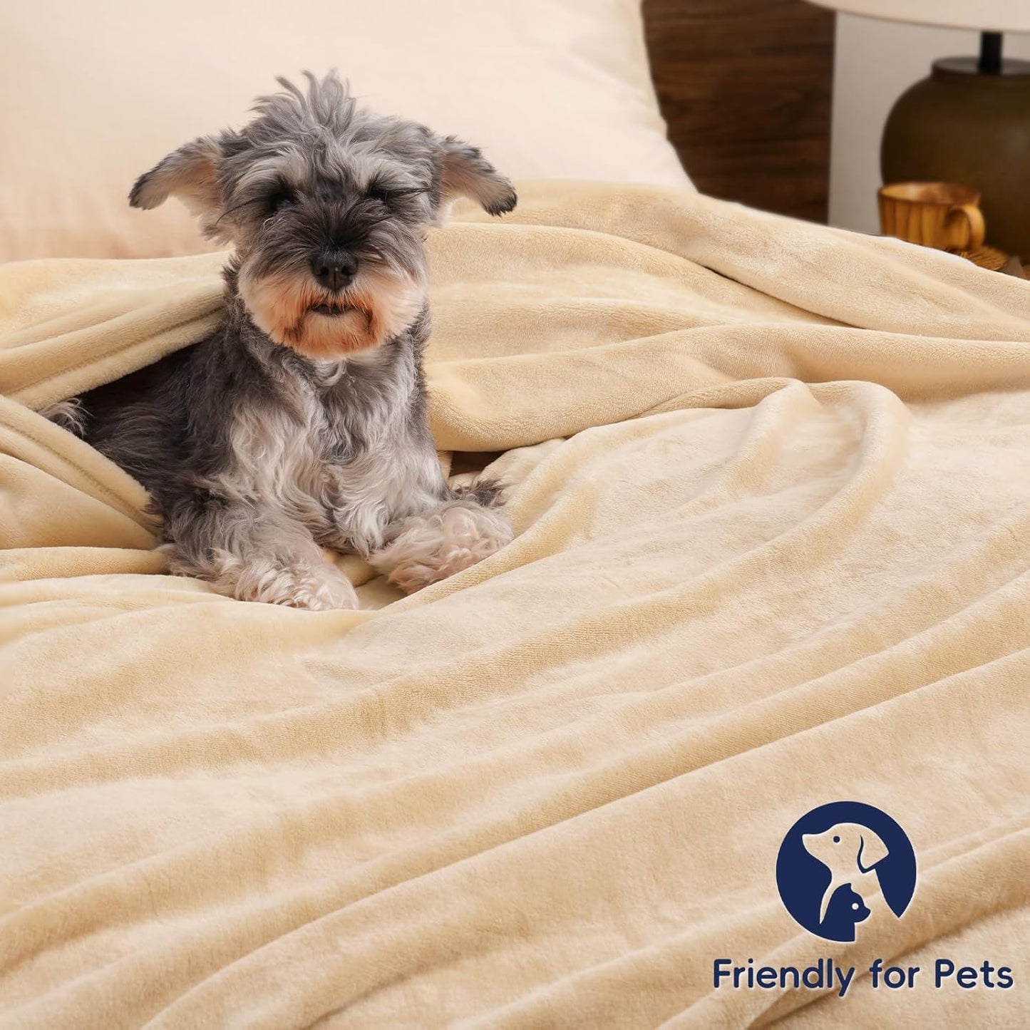 PHF Ultra Soft Fleece Blanket Queen Size, No Shed No Pilling Luxury Plush Cozy 300GSM Lightweight Blanket for Bed, Couch, Chair, Sofa Suitable for All Season, 90" x 90", Beige