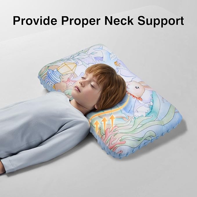 Reidio 1Pcs Toddler Pillow Double Sided Warm Plush & Minky Dot Fabric Kids Pillow Cute Small Pillow Machine Washable (#W-Ocean Blue)