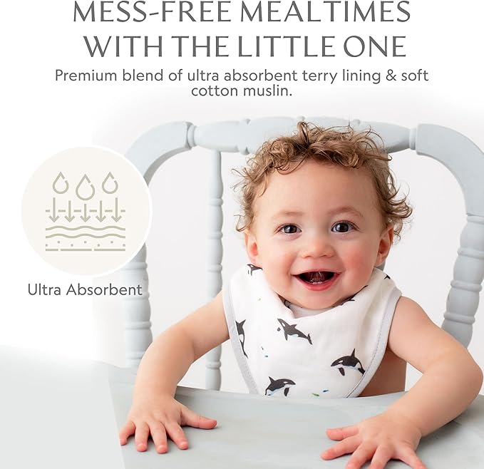 Bamboo Little Baby Bibs (Pack of 2) - Bibs with Adjustable Snaps- Absorbent Terry Backing