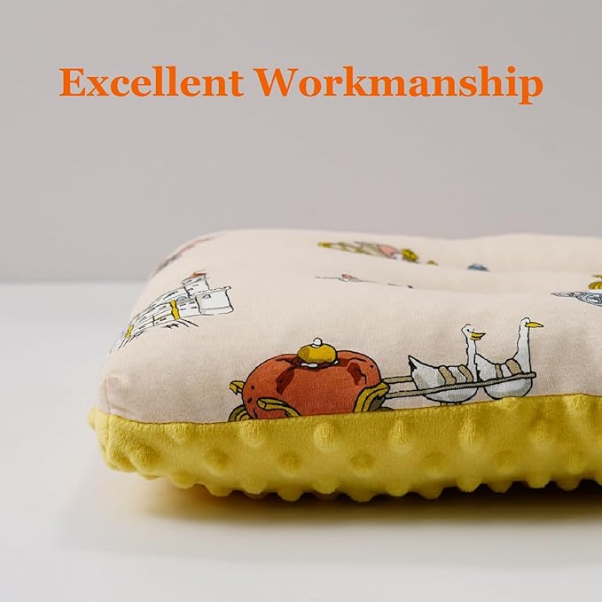 Reidio 1Pcs Toddler Pillow Double Sided Breathable Soft Cotton & Minky Dot Fabric Kids Pillow Cute Small Pillow Machine Washable (Blue)