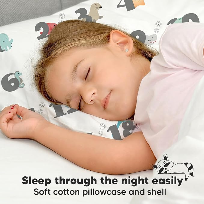 Toddler Pillow with Pillowcase - 13x18 My Little Dreamy Kids Travel Bed Pillows for Sleeping, Organic Cotton Small Pillowcase, Soft & Breathable, Machine Washable, Toddlers 2-5 Years Old (Kea123)