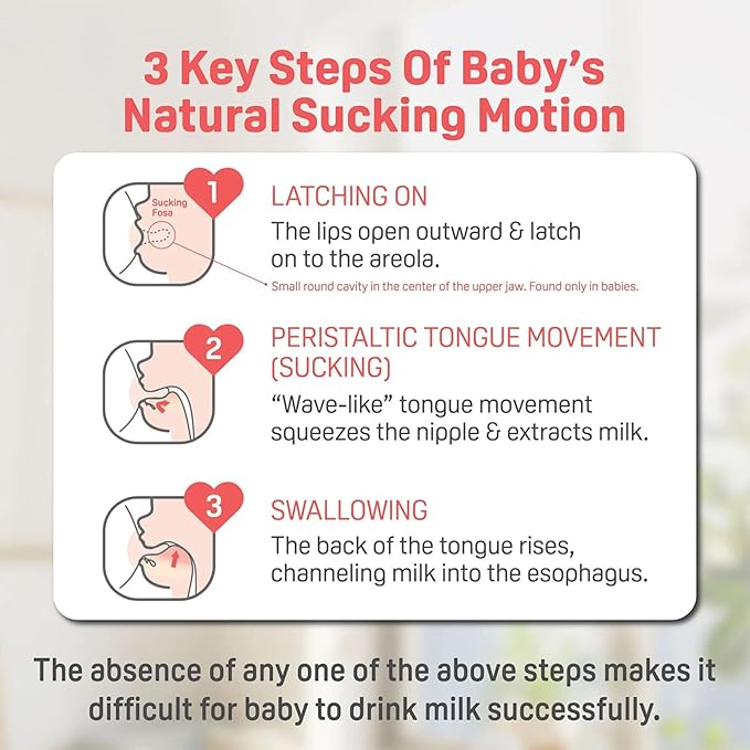 Pigeon Glass Nursing Bottle Wide Neck, Nurture & Nest, Anti-Colic, Streamlined Body, Natural Feel, Easy to Clean, Heat-Resistant, 5.4 Oz (Pack of 3), Includes 3pcs Stage 1 Nipples (0m+)