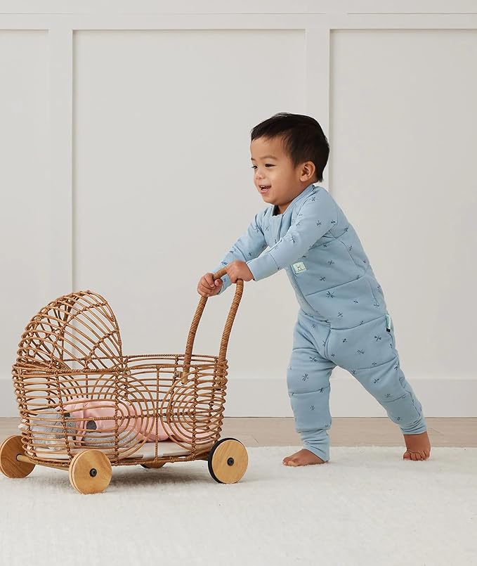 ergoPouch 2.5 TOG Sleeping Bag – Breathable, Cozy Sleepwear for Boys and Girls (12-24 Months, Dragonflies)