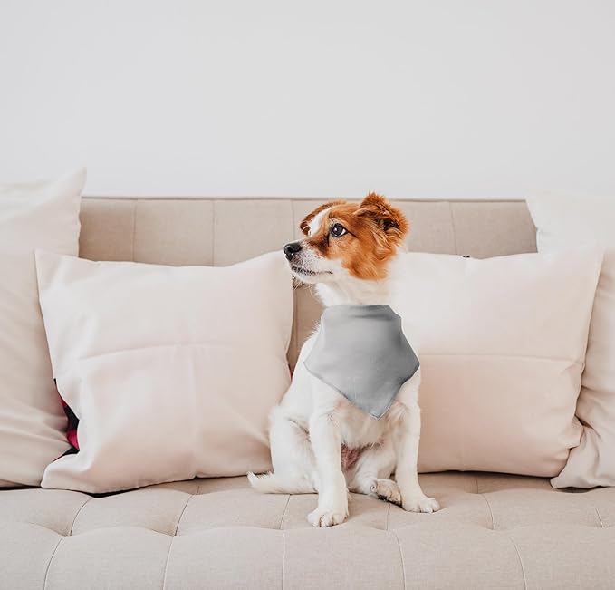 Adult Drool Bib for Special Needs, Large Elderly Bandana, Teen Bib for Women Men, Soft Absorbent Set for Kids