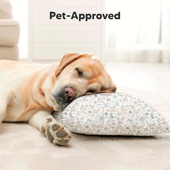 Toddler Pillow with Pillowcase - 13x18 My Little Dreamy Kids Travel Bed Pillows for Sleeping, Organic Cotton Small Pillowcase, Soft & Breathable, Machine Washable, Toddlers 2-5 Years Old (Escapade)