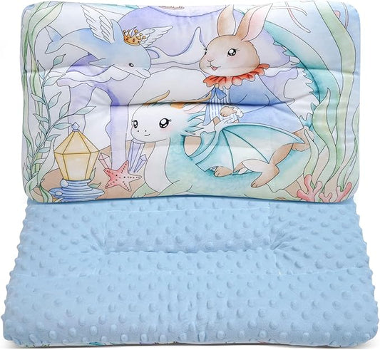 Reidio 1Pcs Toddler Pillow Double Sided Warm Plush & Minky Dot Fabric Kids Pillow Cute Small Pillow Machine Washable (#W-Ocean Blue)