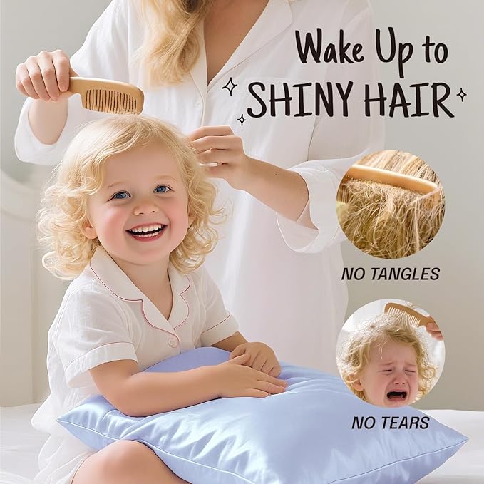 OLESILK 100% Mulberry Silk Toddler Pillowcase for Hair and Skin, Both Sides 19 Momme Pure Natural Silk Travel Pillow Cases with Hidden Zipper, 13"x 18", Light Blue