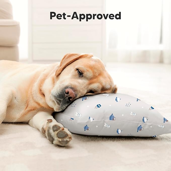 KeaBabies Toddler Pillow with Pillowcase, Jumbo 14X20 - Soft Organic Cotton Toddler Pillows for Sleeping - Machine Washable - Perfect for Travel, Toddler Bed Set (Cosmo)