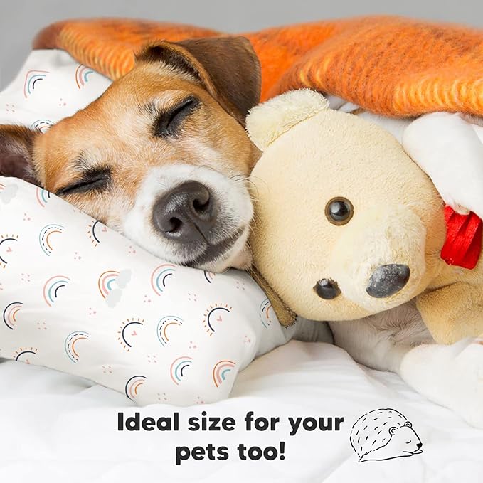 Toddler Pillow with Pillowcase - 13x18 My Little Dreamy Kids Travel Bed Pillows for Sleeping, Organic Cotton Small Pillowcase, Soft & Breathable, Machine Washable,Toddlers 2-5 years old(Jolly Rainbow)