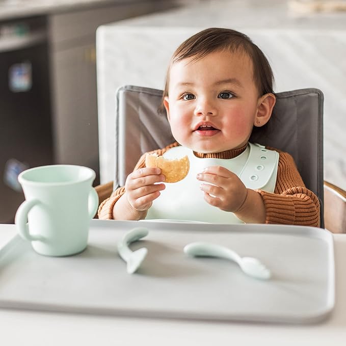 Green Sprouts Unisex Baby Silicone Scoop Bib