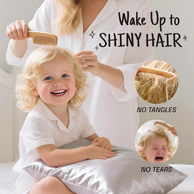 OLESILK 100% Mulberry Silk Toddler Pillowcase for Hair and Skin, Both Sides 19 Momme Pure Natural Silk Travel Pillow Cases with Hidden Zipper, 13"x 18", Silver Grey