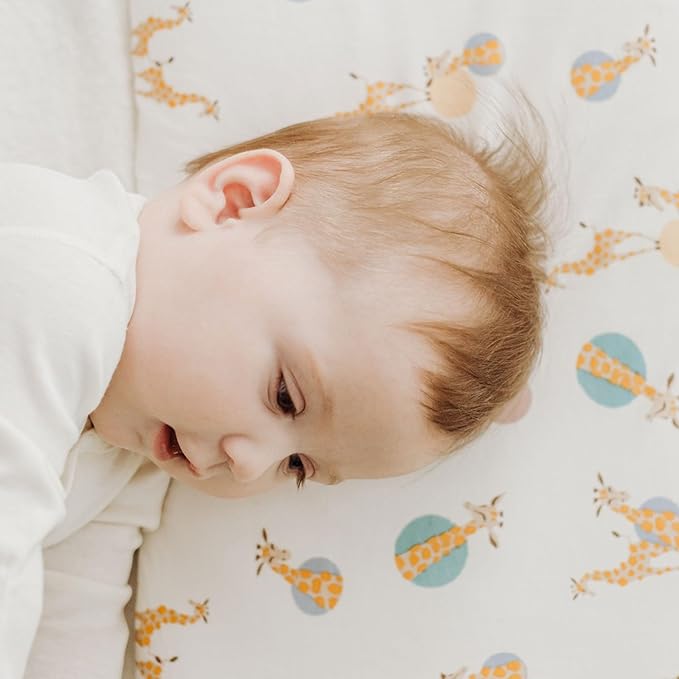 Nest Designs Toddler Pillow with Bamboo Viscose Pillowcase - Giraffe Shapes, Medium