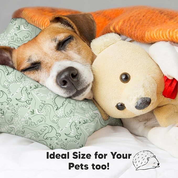 Toddler Pillow with Pillowcase - 13x18 My Little Dreamy Kids Travel Bed Pillows for Sleeping, Organic Cotton Small Pillowcase, Soft & Breathable, Machine Washable, Toddlers 2-5 Years Old (DinoDood)