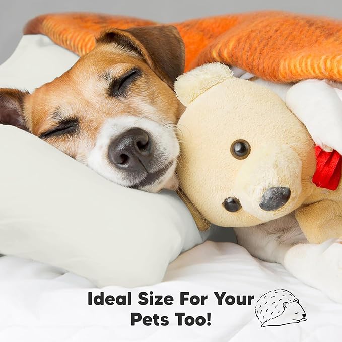 Toddler Pillow with Pillowcase - 13x18 My Little Dreamy Kids Travel Bed Pillows for Sleeping, Organic Cotton Small Pillowcase, Soft & Breathable, Machine Washable, Toddlers 2-5 Years Old (Pearl Gray)