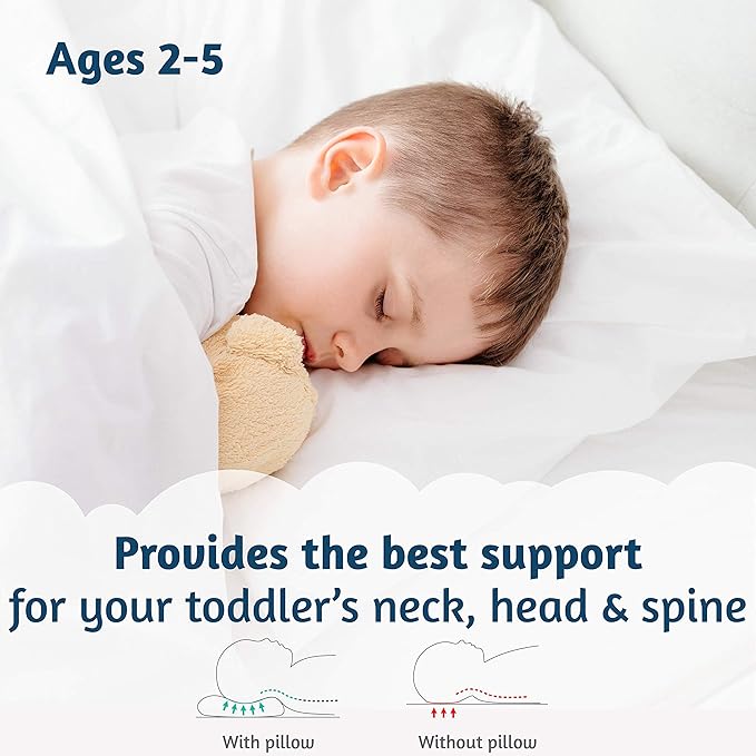 Organic Toddler Pillow Made in the USA and Organic Cotton Pillowcase - 13x18 Soft Natural Cotton Toddler Pillow for Sleeping - Washable Baby Nap Pillow - Travel Pillow - Kids Sleeping Bedding