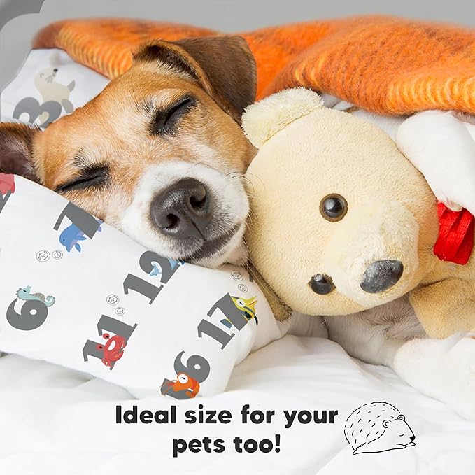 Toddler Pillow with Pillowcase - 13x18 My Little Dreamy Kids Travel Bed Pillows for Sleeping, Organic Cotton Small Pillowcase, Soft & Breathable, Machine Washable, Toddlers 2-5 Years Old (Kea123)