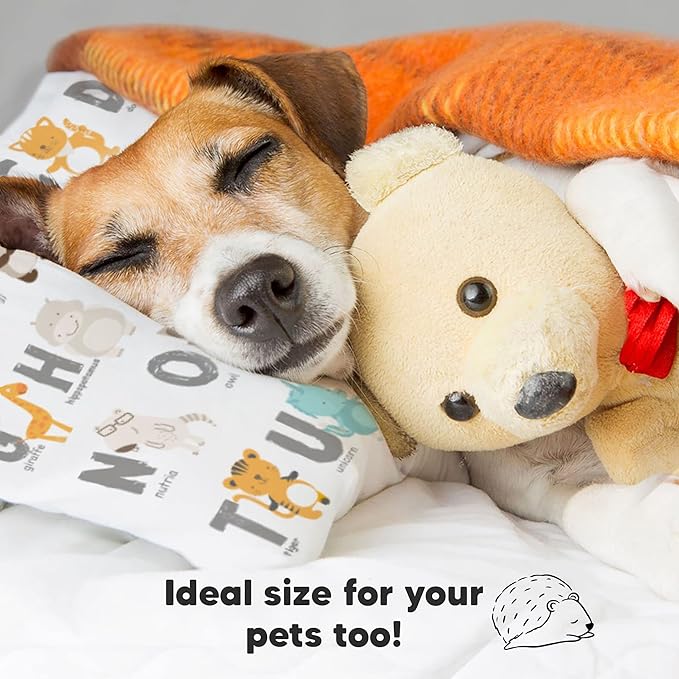 Toddler Pillow with Pillowcase - 13x18 My Little Dreamy Kids Travel Bed Pillows for Sleeping, Organic Cotton Small Pillowcase, Soft & Breathable, Machine Washable, Toddlers 2-5 Years Old (KeaABC)