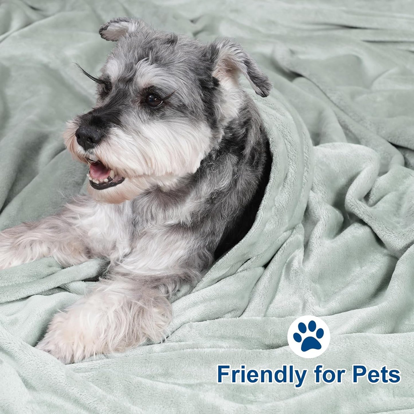 PHF Ultra Soft Fleece Blanket Twin Size, No Shed No Pilling Luxury Plush Cozy 300GSM Lightweight Blanket for Bed, Couch, Chair, Sofa Suitable for All Season, 66" x 90", Sage Green