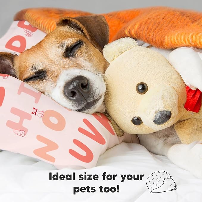 Toddler Pillow with Pillowcase - 13x18 My Little Dreamy Kids Travel Bed Pillows for Sleeping, Organic Cotton Small Pillowcase, Soft & Breathable, Machine Washable,Toddlers 2-5 years old(KeaABC Sakura)