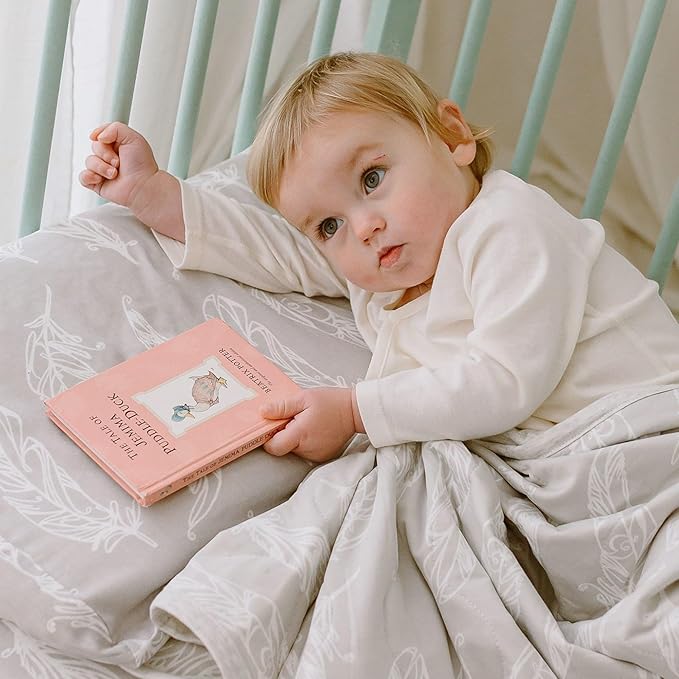 Nest Designs Toddler Pillow with Bamboo Viscose Pillowcase - Feather Grey, Medium