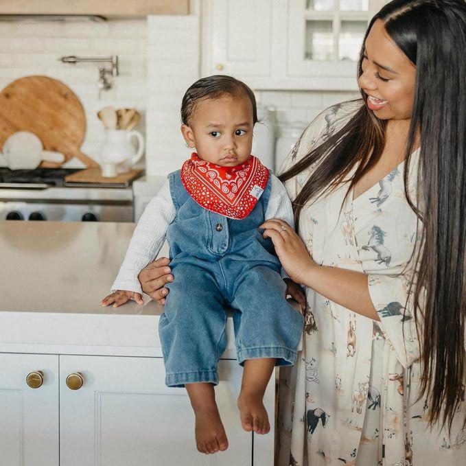 Copper Pearl Baby Bandana Drool Bibs for Drooling and Teething 4 Pack Gift Set Boone