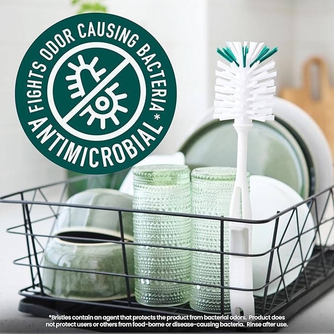 Scotch-Brite Glass and Water Bottle Brush, Long-Lasting Bristles, Safe On Multiple Types of Water Bottles, Baby Bottles, Vases, and More (6-Pack)