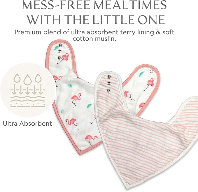 Bamboo Little Baby Bibs (Pack of 2) - Bibs with Adjustable Snaps- Absorbent Terry Backing