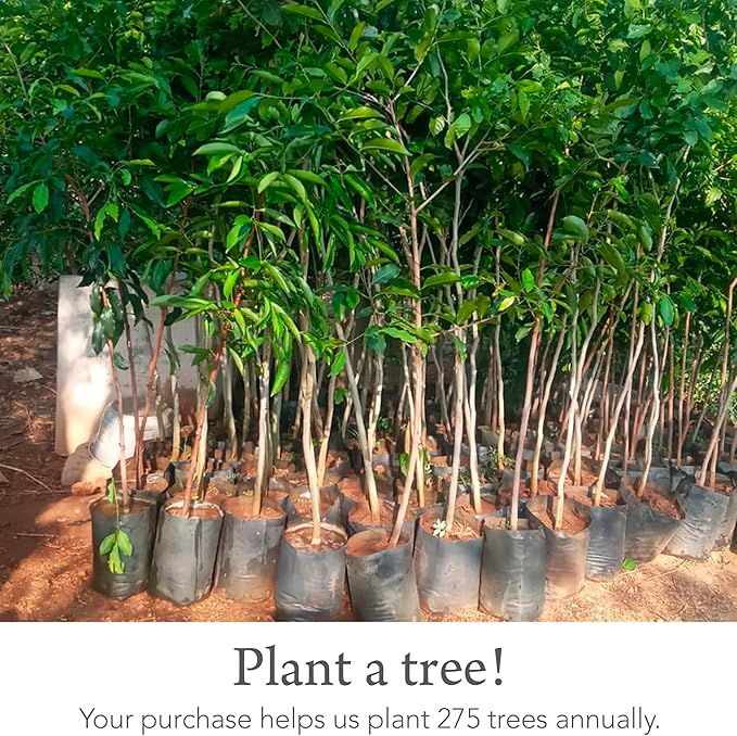 Kishu Baby Indi - Fairtrade Organic Baby Bibs for Girls or Boys - Rounded, 4-Way Reversible, 8 Layer Muslin Drool Bibs