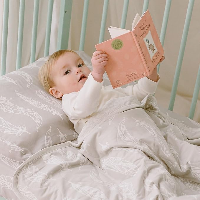 Nest Designs Toddler Pillow with Bamboo Viscose Pillowcase - Feather Grey, Small