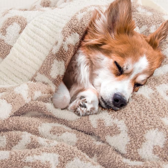 NEXHOME PRO Leopard Soft Blanket, Fuzzy Throw Blanket for Couch Bed Sofa Picnic, Knit Blankets for Women Gifts Beige 50 x 60 inches