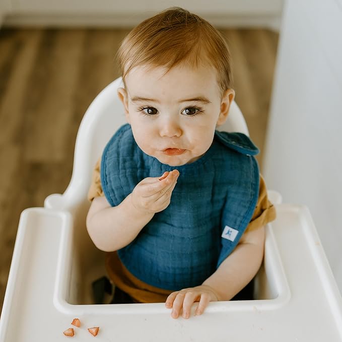 Little Unicorn Premium Classic Bib 3 pack | Adjustable as baby grows | Soft fabric on skin | Great for first time eaters (Dino Friends 2)