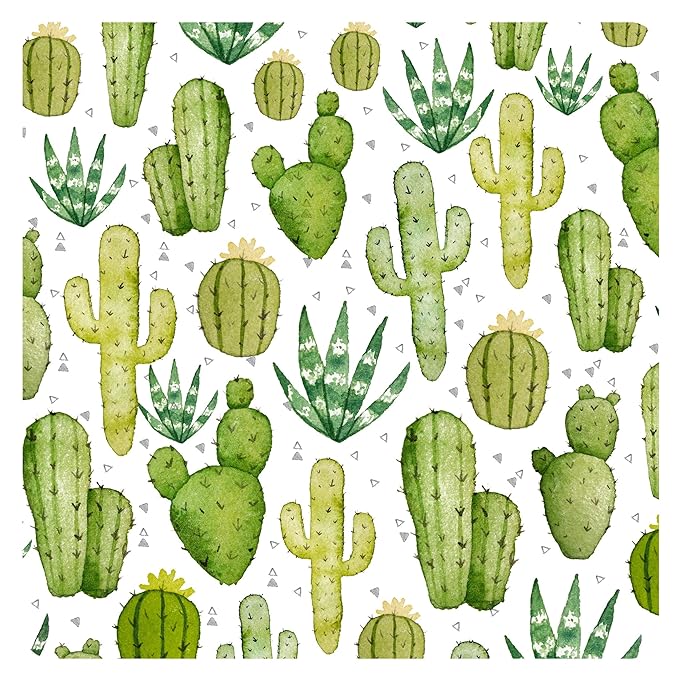 BapronBaby Desert Cactus Bapron - No Neck Tie Safer Bib for Baby & Toddler - Soft Waterproof Stain Resistant - Machine Washable - Sz Preschool 3-5yrs